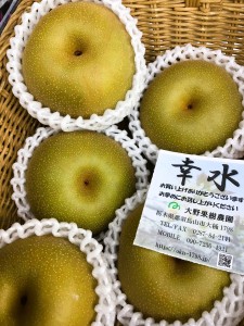 9519AB36-657D-4D95-A9A4-B857C749B677